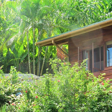 Castara Retreats Apartment ห้อง รูปภาพ